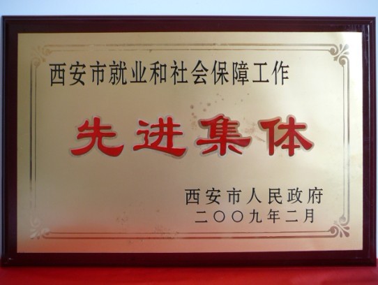 2009年2月，被西安市政府評為西安市就業和社會保障工作先進集體