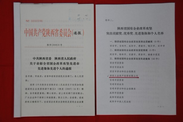 2009年2月，被陜西省委、省政府授予陜西省國有企業改革攻堅先進集體