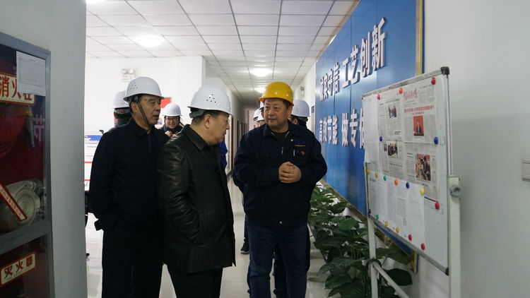 集團領導金輝帶隊赴標準電梯、標準熱處理進行工作調研